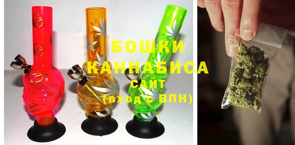 индика Беломорск