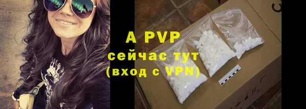 PSILOCYBIN Баксан
