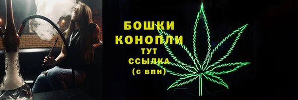 mdpv Белокуриха
