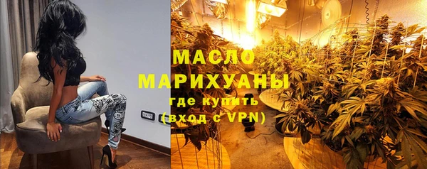 индика Беломорск