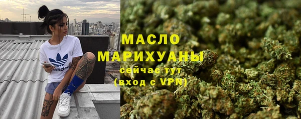 индика Беломорск