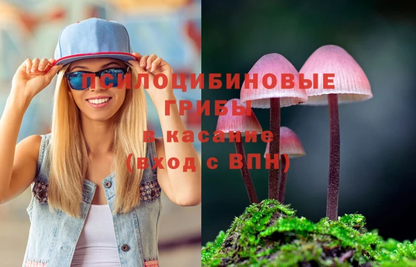 mdpv Белокуриха
