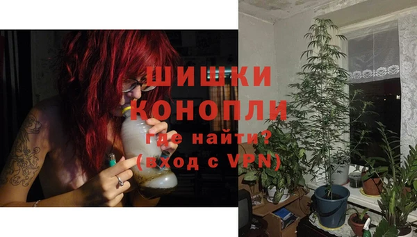 индика Беломорск