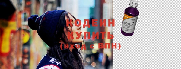 индика Беломорск