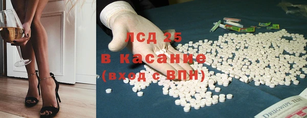 индика Беломорск