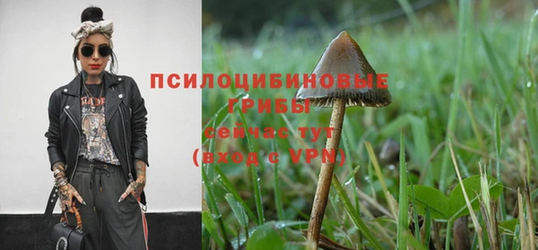 mdpv Белокуриха